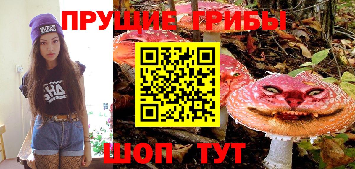 Псилоцибиновые грибы прущие грибы  Вход с VPN  Псилоцибиновые грибы GOLDEN TEACHER  Ленинск-Кузнецкий 