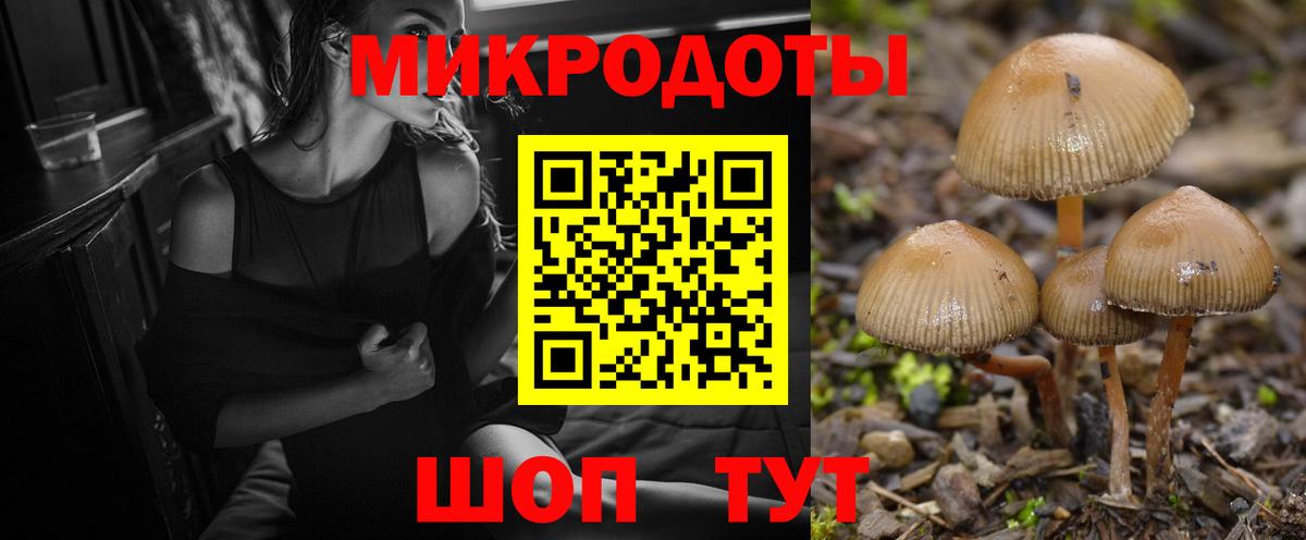 Псилоцибиновые грибы мицелий Ленинск-Кузнецкий