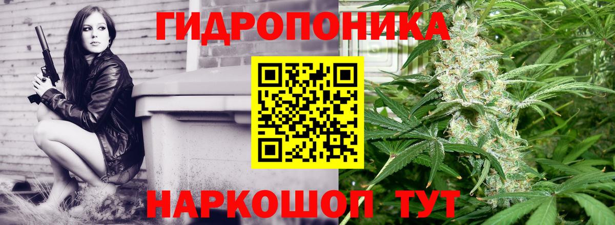 Марихуана White Widow  Каннабис конопля  Вход с VPN  Ленинск-Кузнецкий 